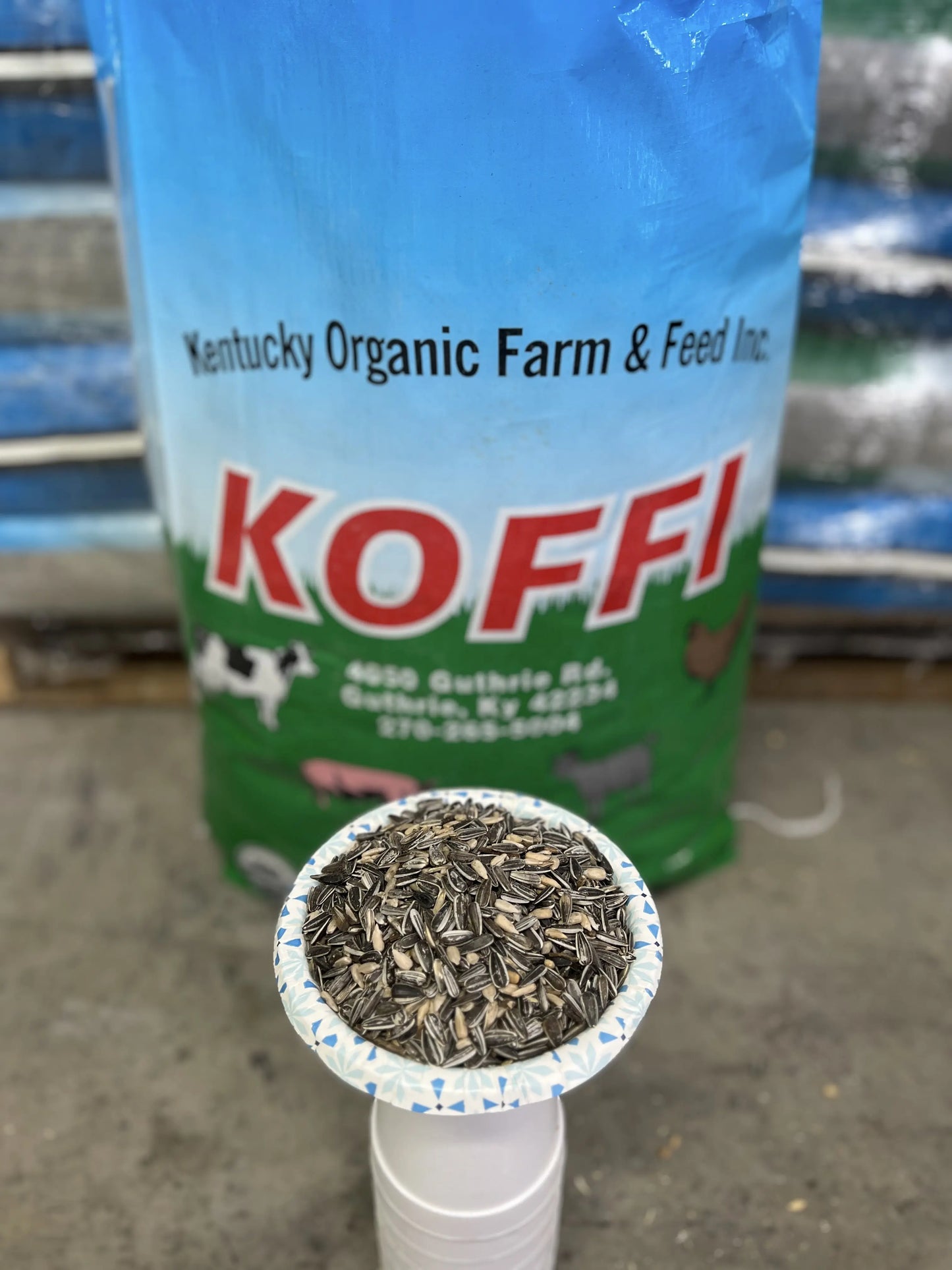 Organic Black Oil Sunflower Seeds (2,000lb Tote) (Code 11)