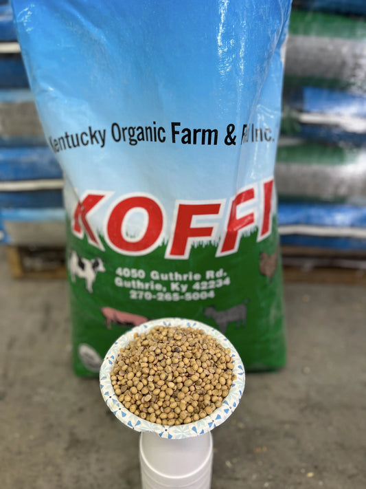 Organic Roasted Soybeans (2,000lb Tote) (Code 7)